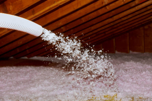 Best Fiberglass Insulation in Beecher, MI