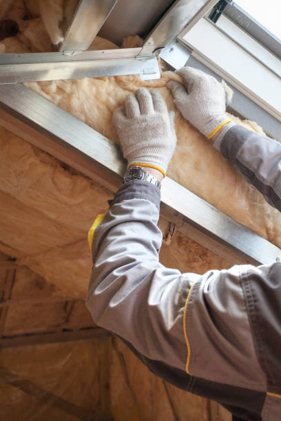 Best Insulation Maintenance and Repair in Beecher, MI