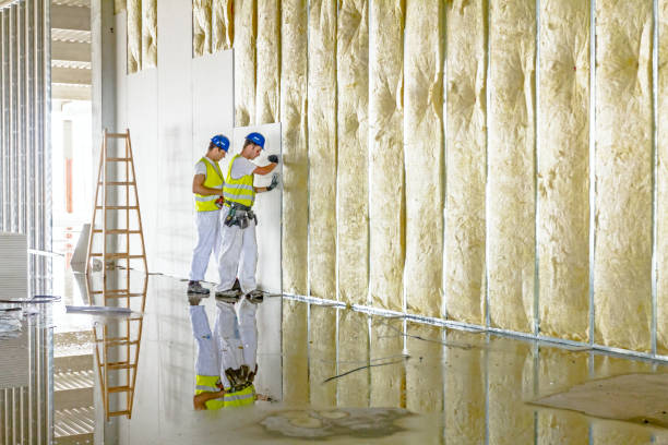 Best DIY Insulation Kits and Guidance in Beecher, MI